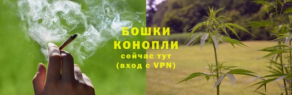 спайс Новодвинск