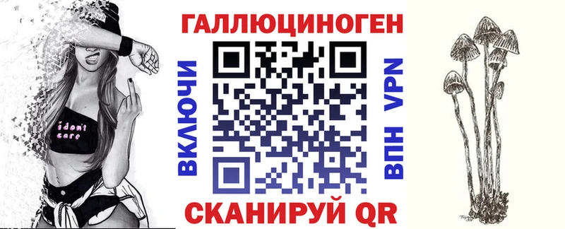 закладка Олонец Псилоцибиновые грибы мицелий